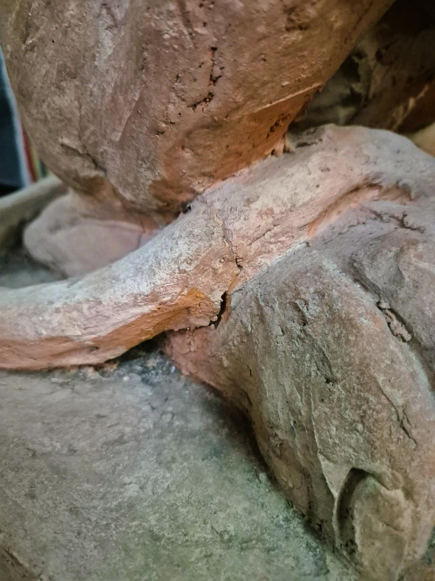 Terracotta Coppia di leoni in terracotta su una base, XIX secolo in vendita