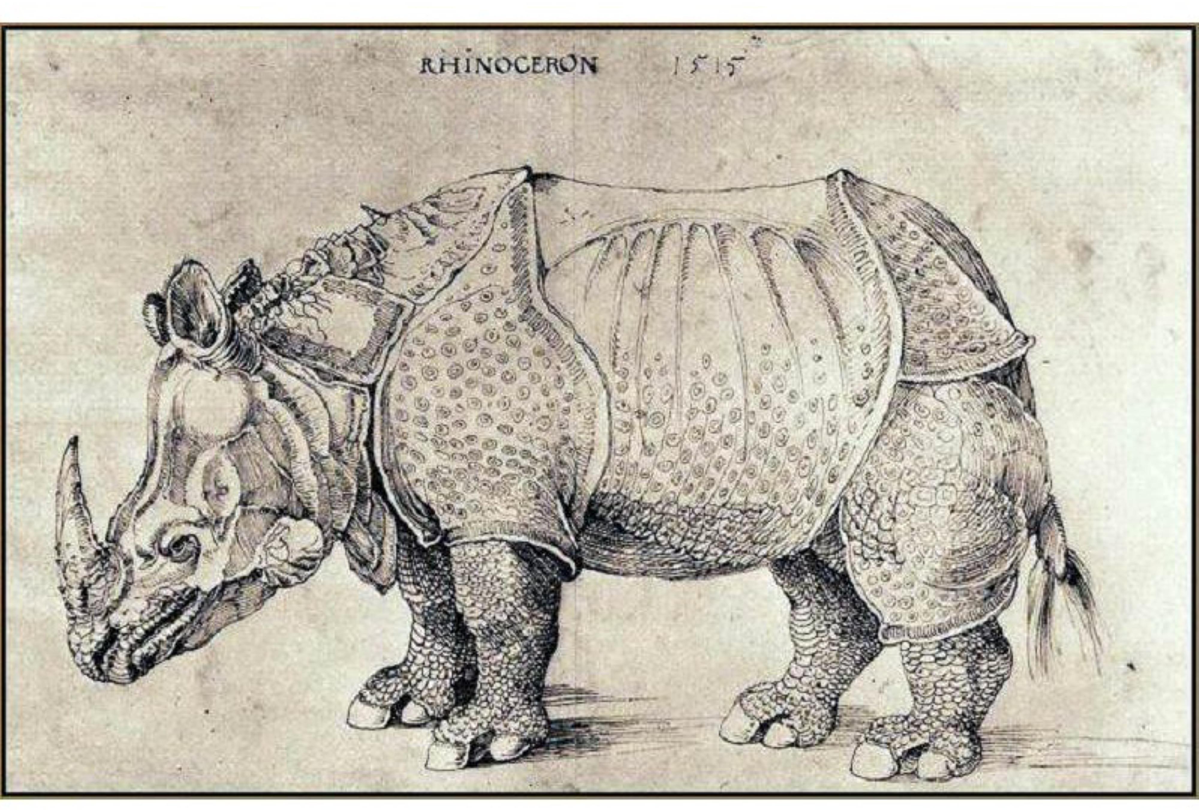 Moderne Paire de RhinosERRACOTTA par ALBRECHT DURER 20ème siècle en vente