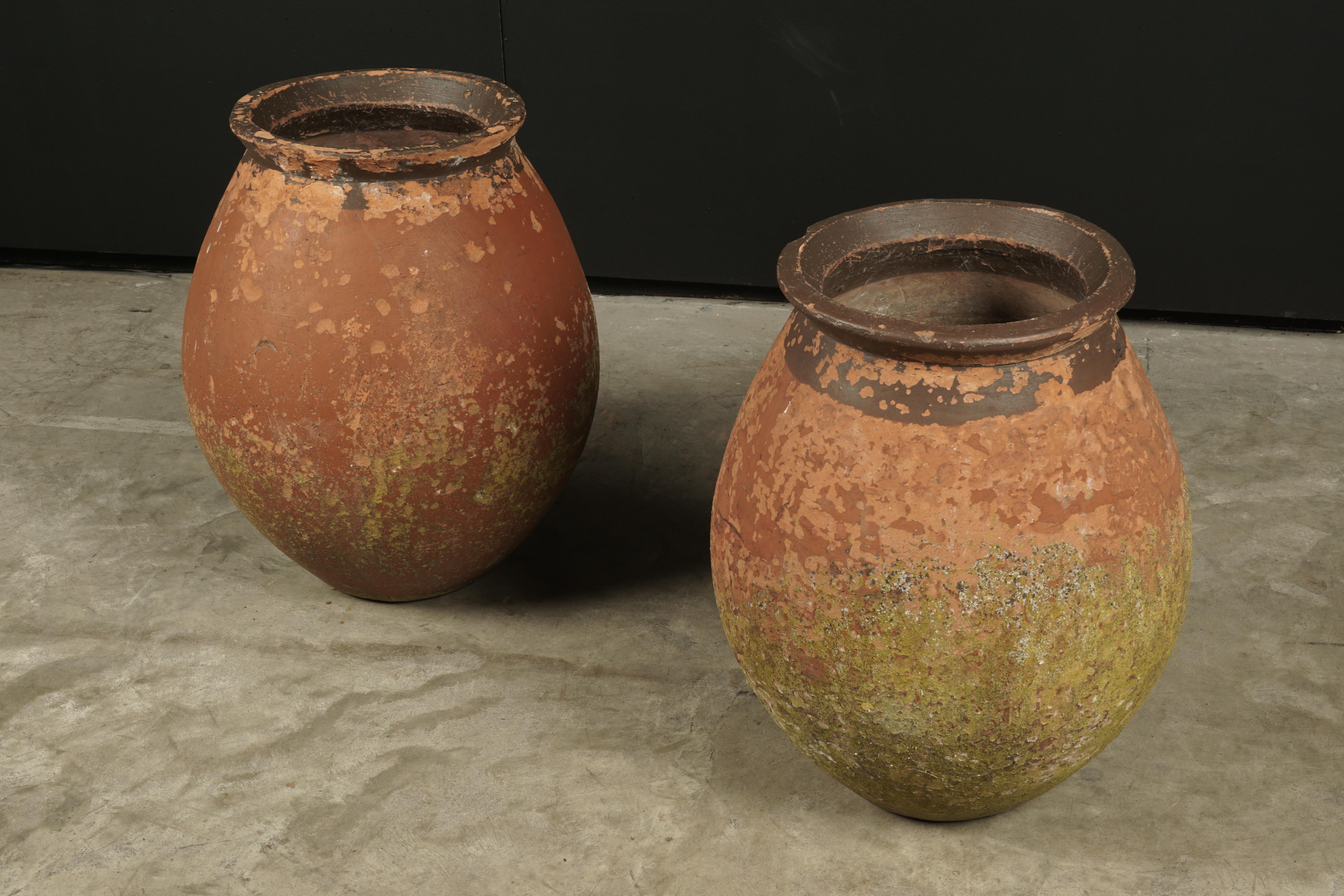 European Rare Pair of Terracotta Urns from France, circa 1960