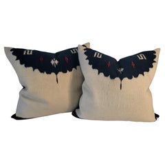 Pair of Texcoco Pillows