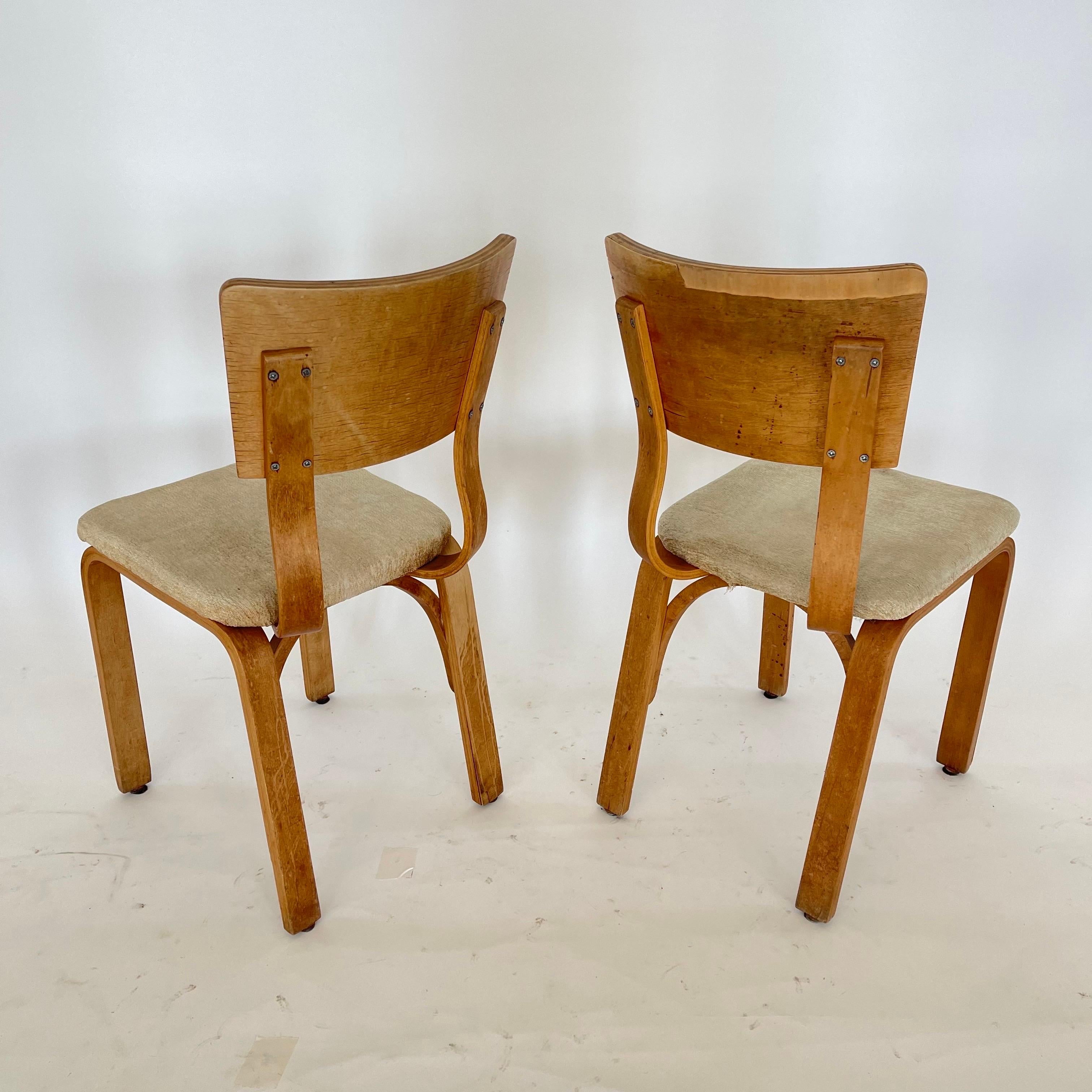 20th Century Pair of Thonet 1216-S17-B1 Bent Plywood Upholstered Seat Dining Chairs, 1940s For Sale