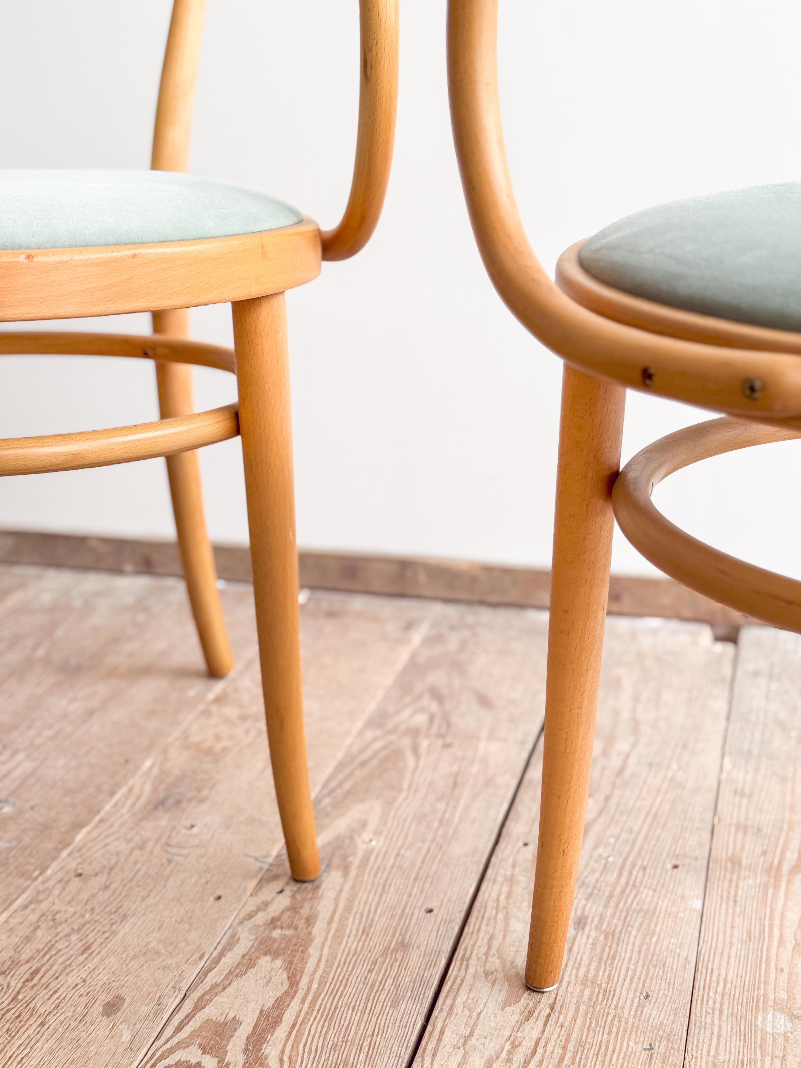 Coppia di poltrone Thonet 209 P in legno di faggio con rivestimento in velluto, Germania in vendita 3