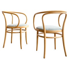 Coppia di poltrone Thonet 209 P in legno di faggio con rivestimento in velluto, Germania