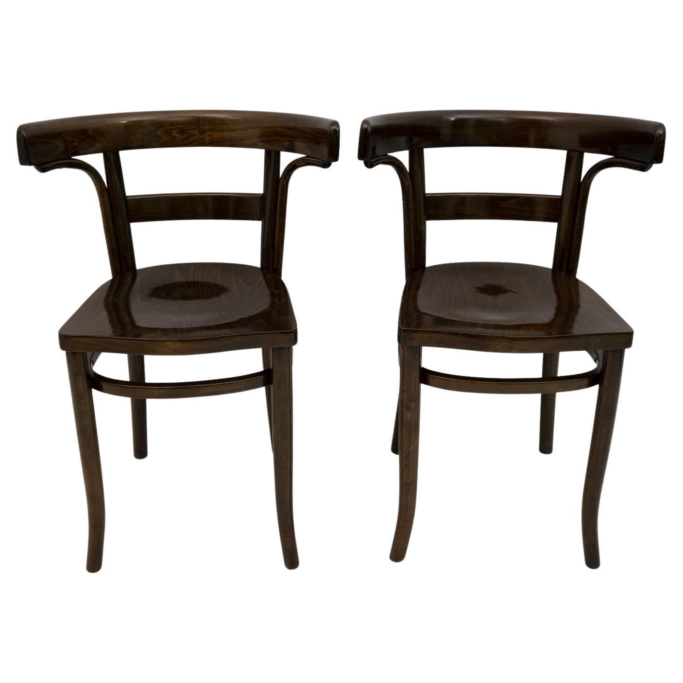 Bentwood Chair in the Style of circa 1930 For Sale at 1stDibs