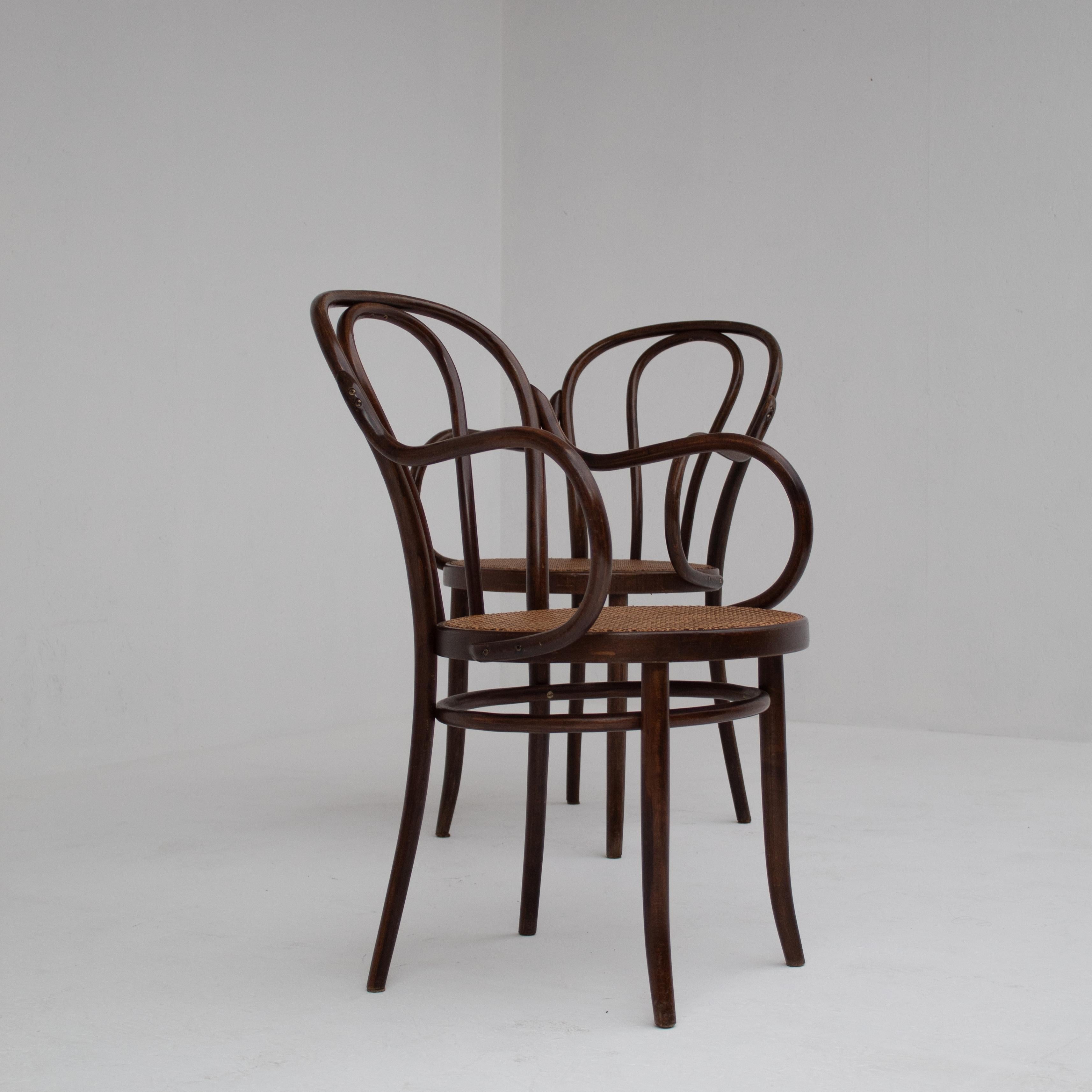 Cette paire de fauteuils Thonet témoigne de l'élégance du design classique en bois courbé. Les cadres incurvés et les sièges en rotin créent un look léger mais solide. Leur finition en bois foncé apporte chaleur et profondeur, tandis que les