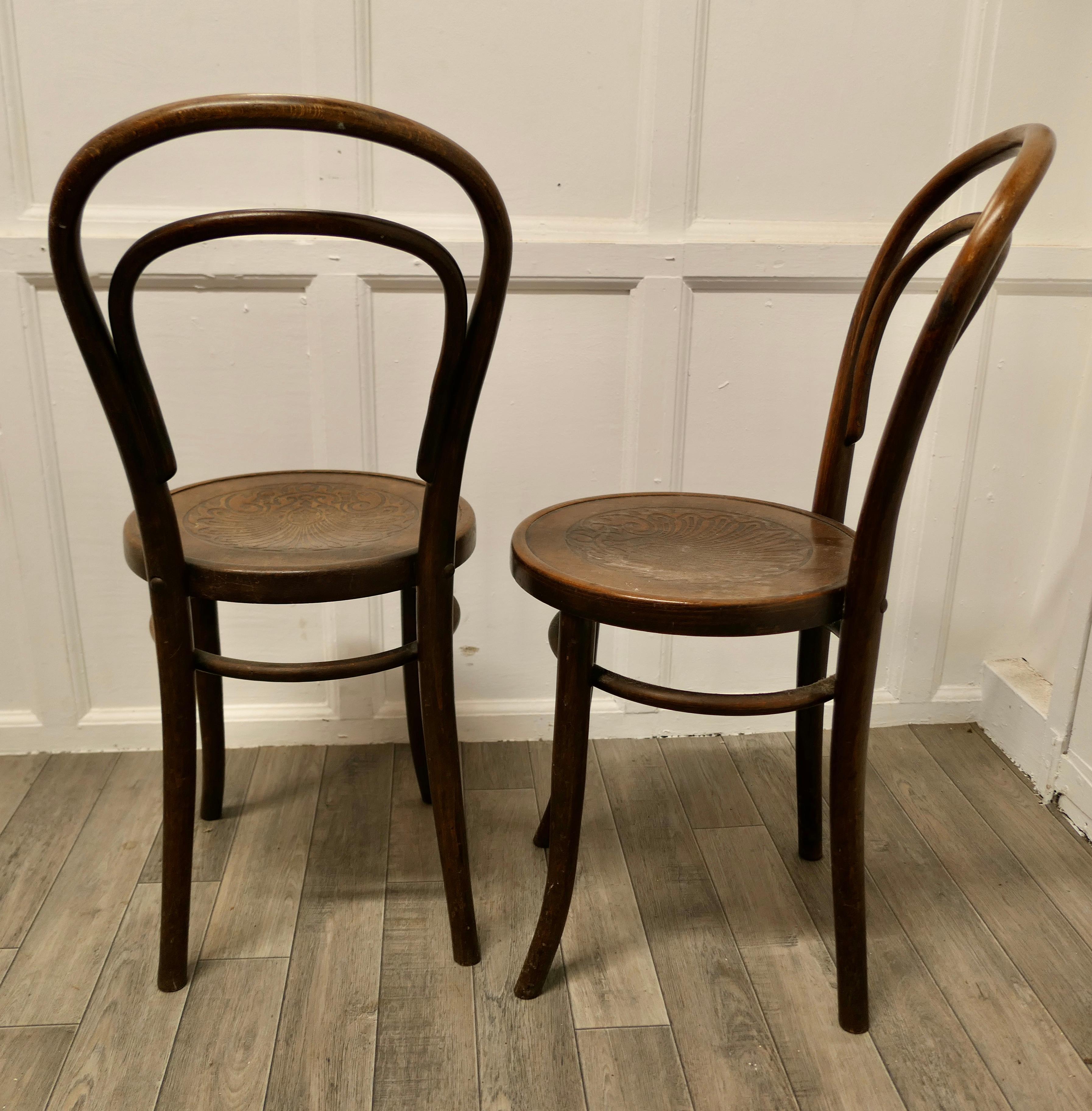 Early 20th Century Pair of  Thonet Bistro Bentwood Chairs