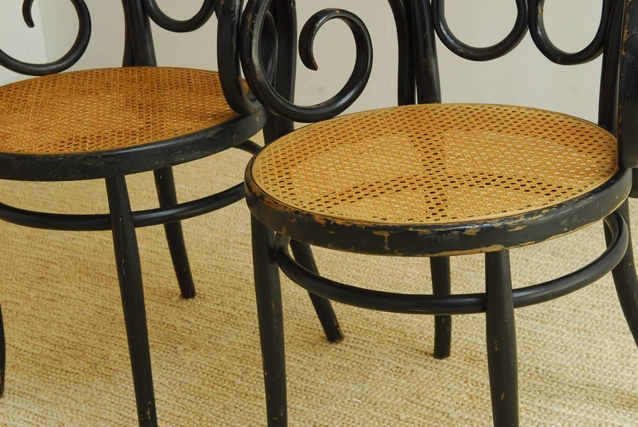Ebonized Pair of Thonet Cafe Daum Style Bentwood Armchairs