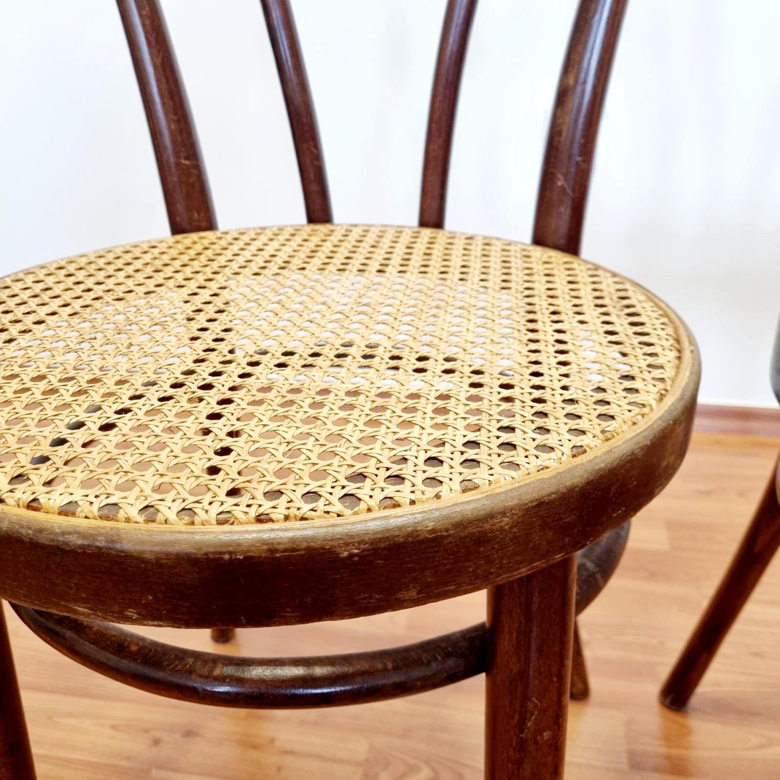 Pair of Thonet Style Bentwood Dining Chairs, Italy 60s For Sale 1