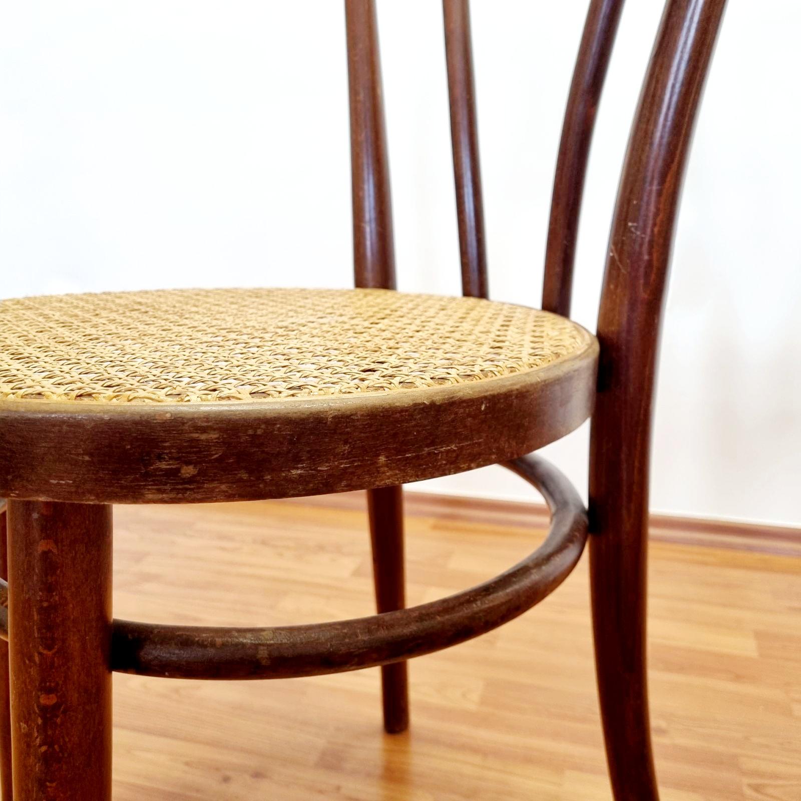 Pair of Thonet Style Bentwood Dining Chairs, Italy 60s For Sale 2