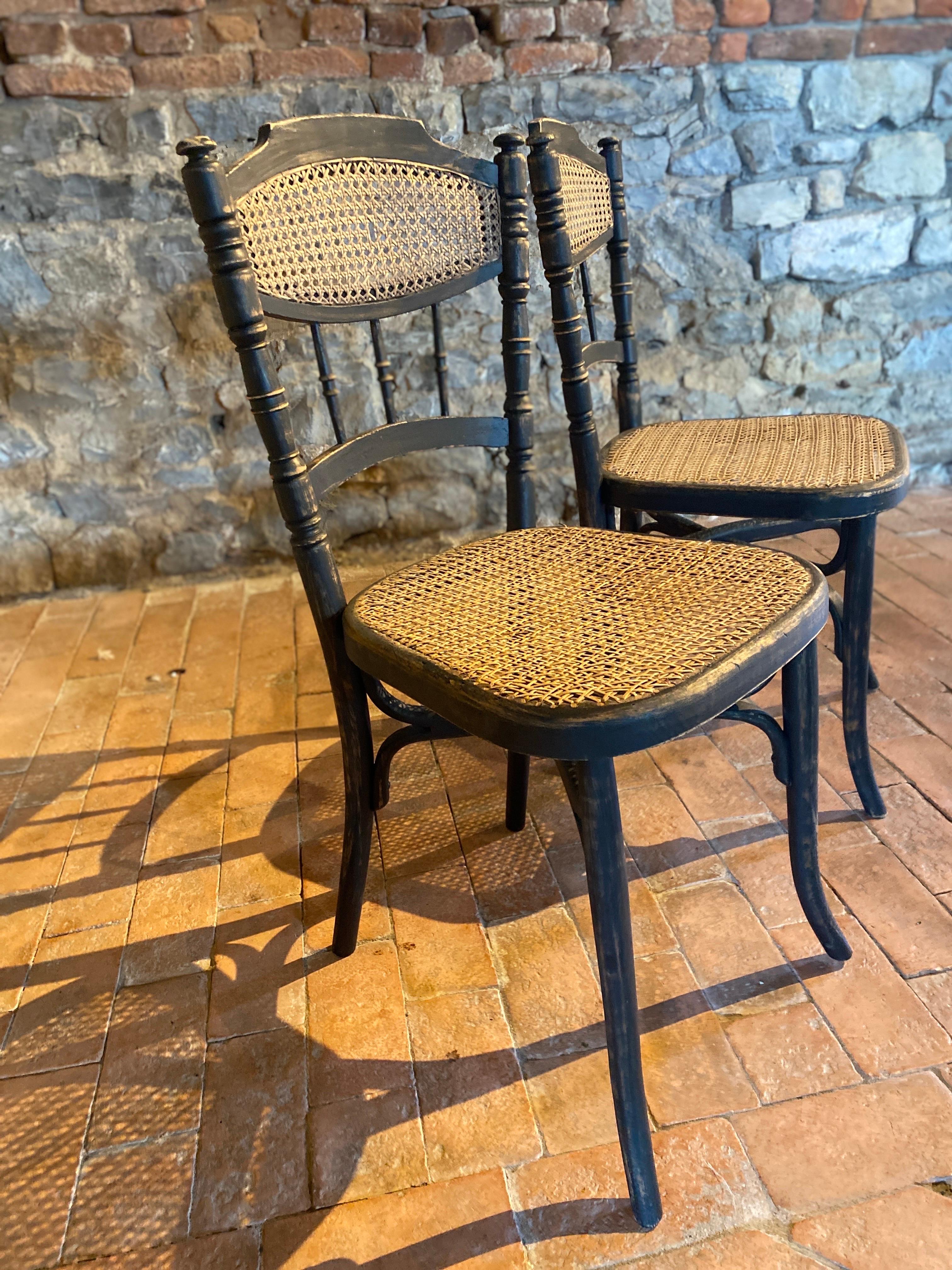 Art Nouveau Pair of thonet style chairs year 1900 For Sale