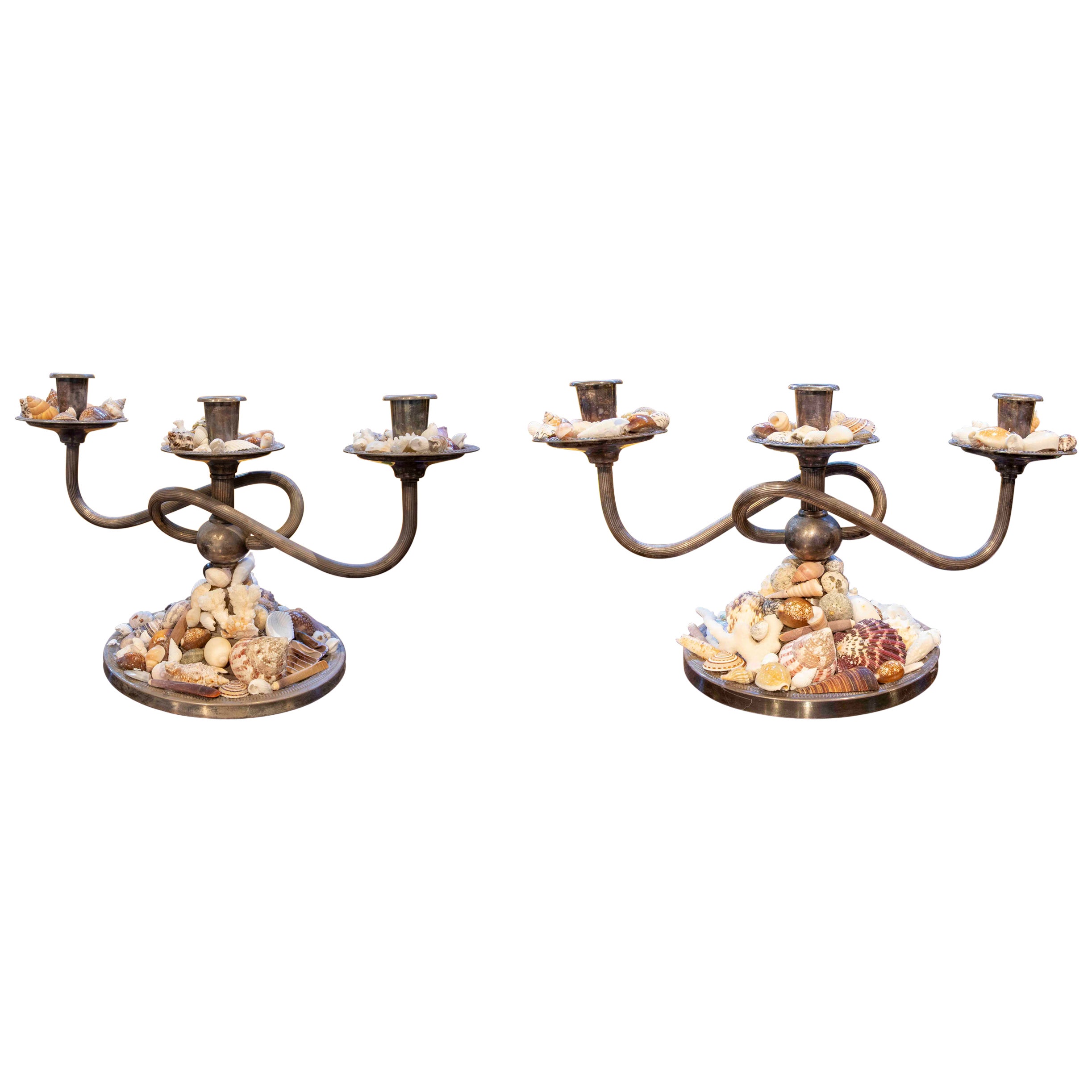 Pair of Three-armed Candelabras with Natural Seashells in a Coastal Style For Sale