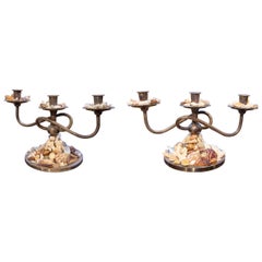 Pair of Three-armed Candelabras with Natural Seashells in a Coastal Style
