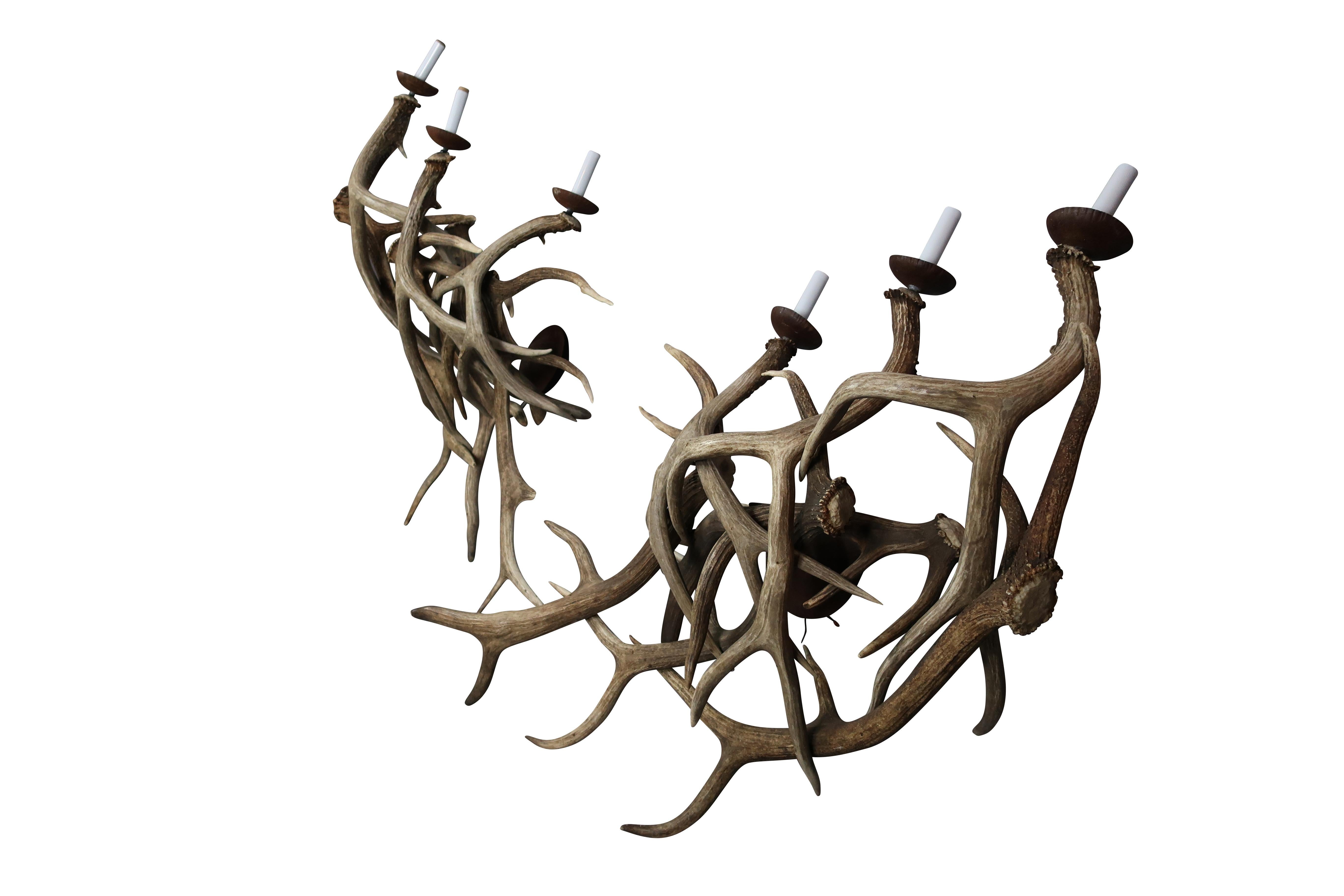 antler sconces