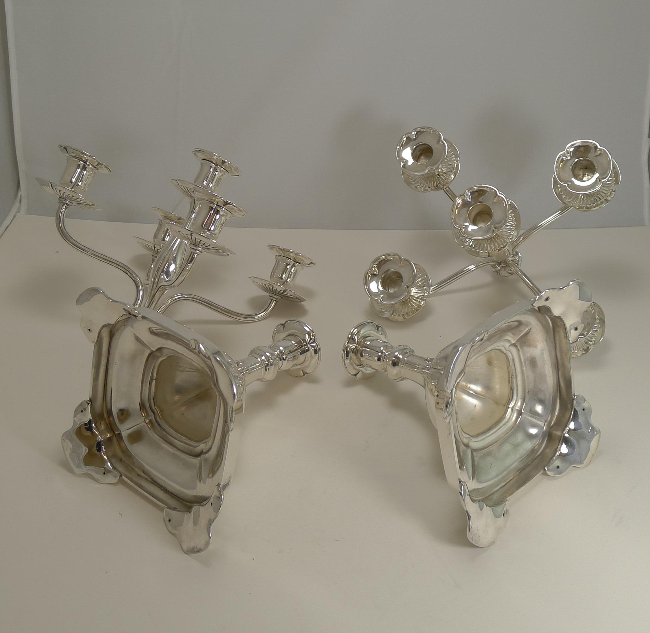 Pair of Tiffany Silver Plated Five-Light Candelabra, circa 1910 2