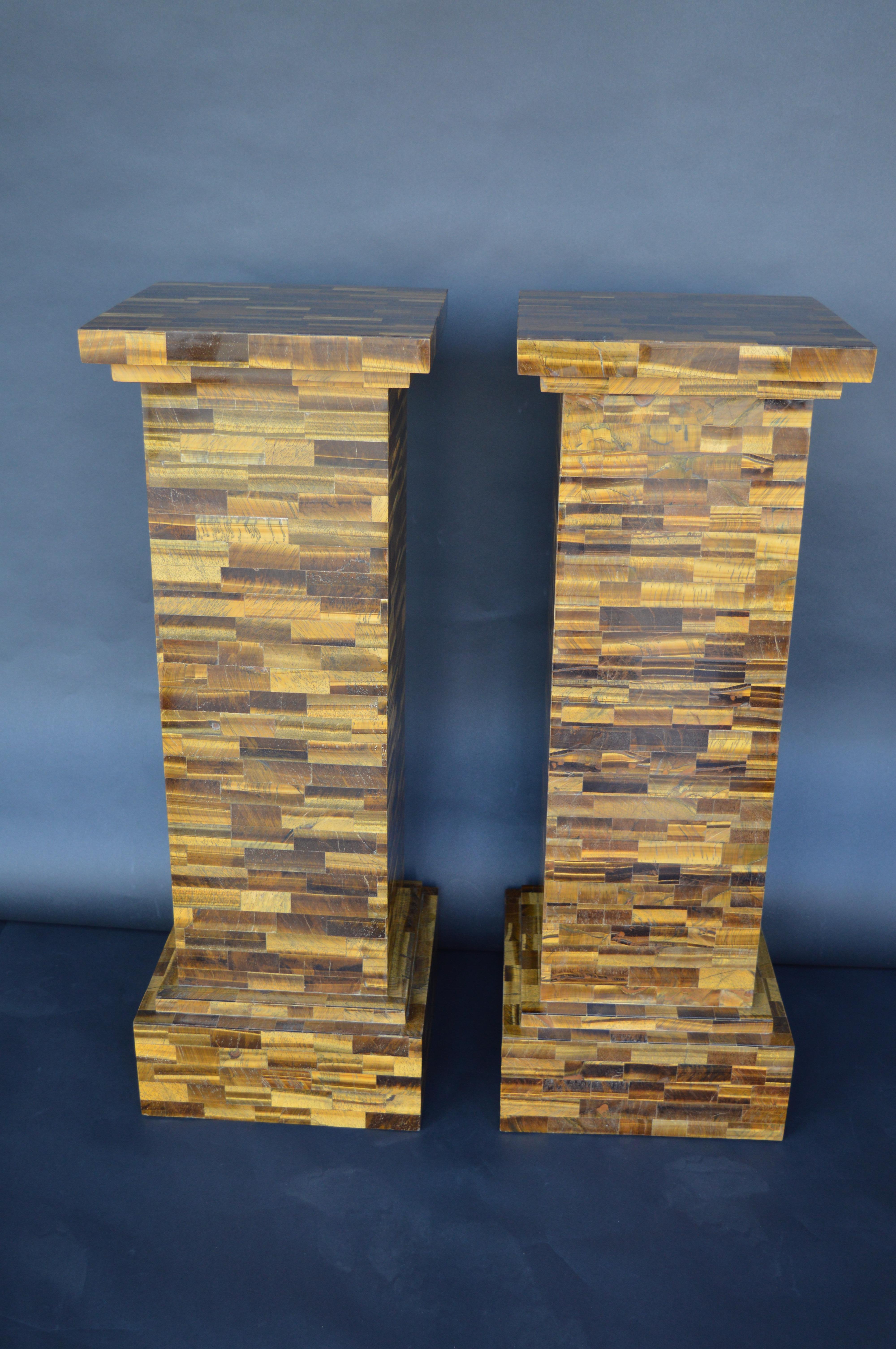 Pair of Tiger Eye Pedestals 1