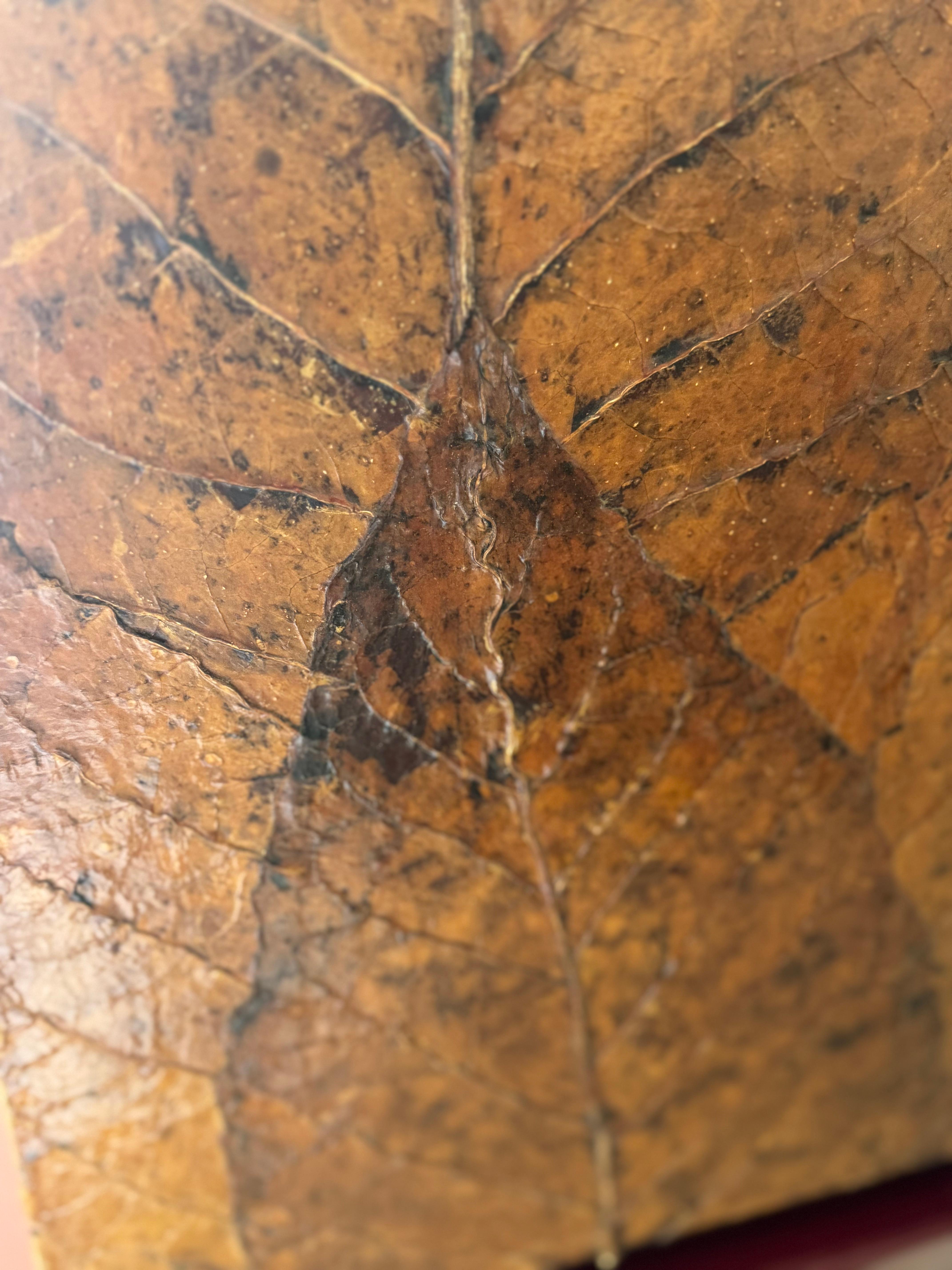 Mid-Century Modern Pair Of Tobacco Leaf Covered Floor Lamps