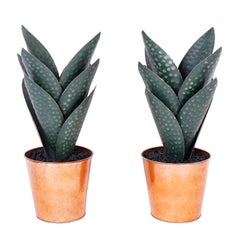 Pair of Tole Plants in Copper Planters