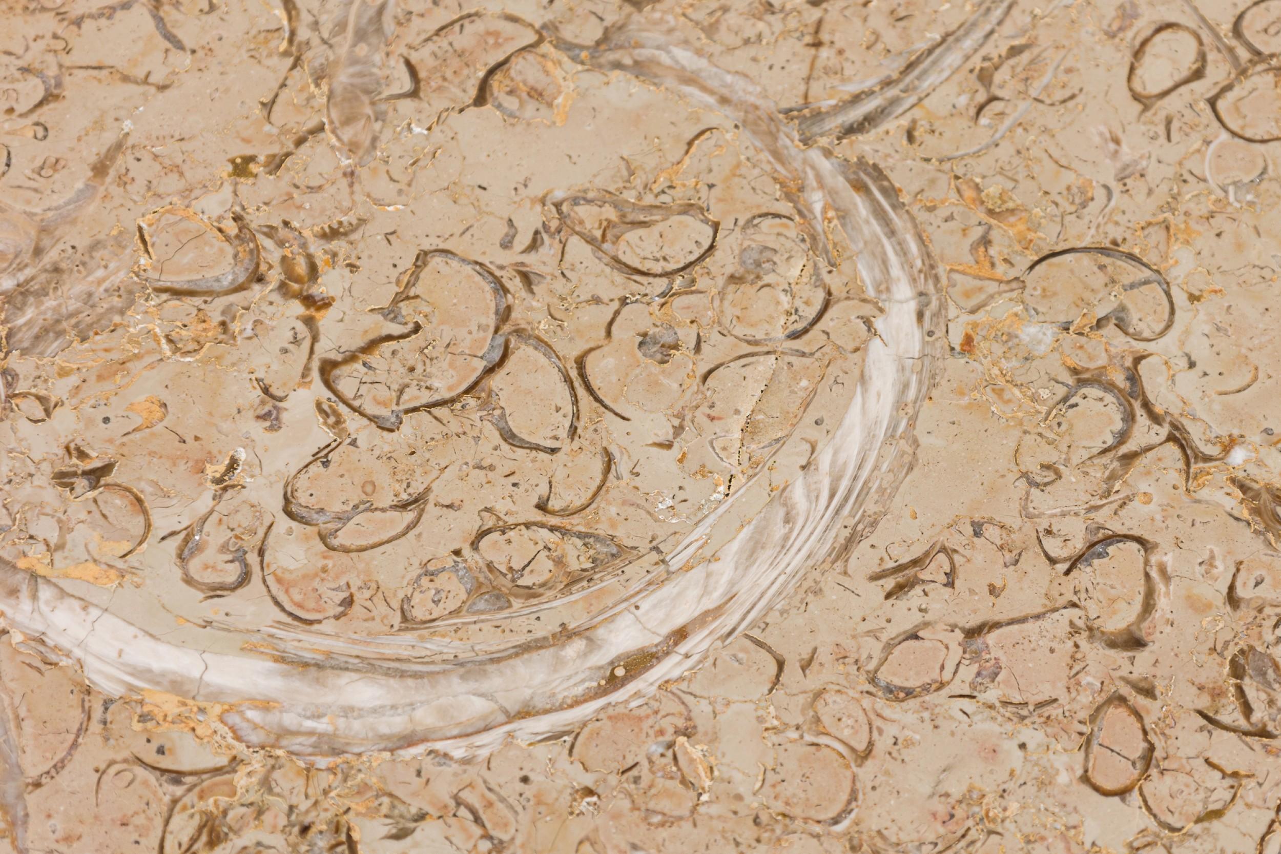 Pair of Tomlinson American Mid-Century Round Marble Top Side Tables / Commodes For Sale 3