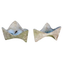 Fioriere e giardiniere