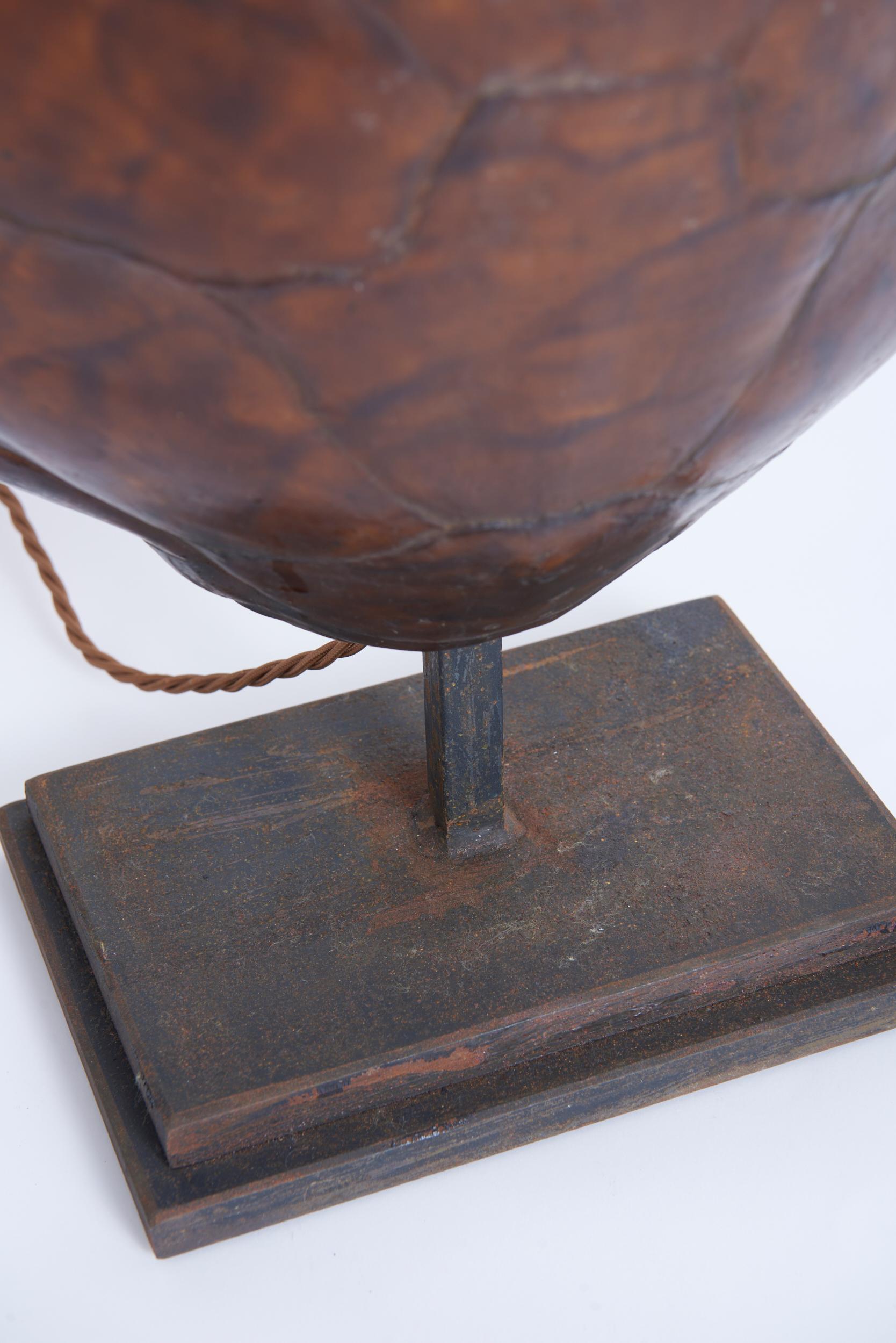 Pair of Tortoiseshell Table Lamps For Sale 5