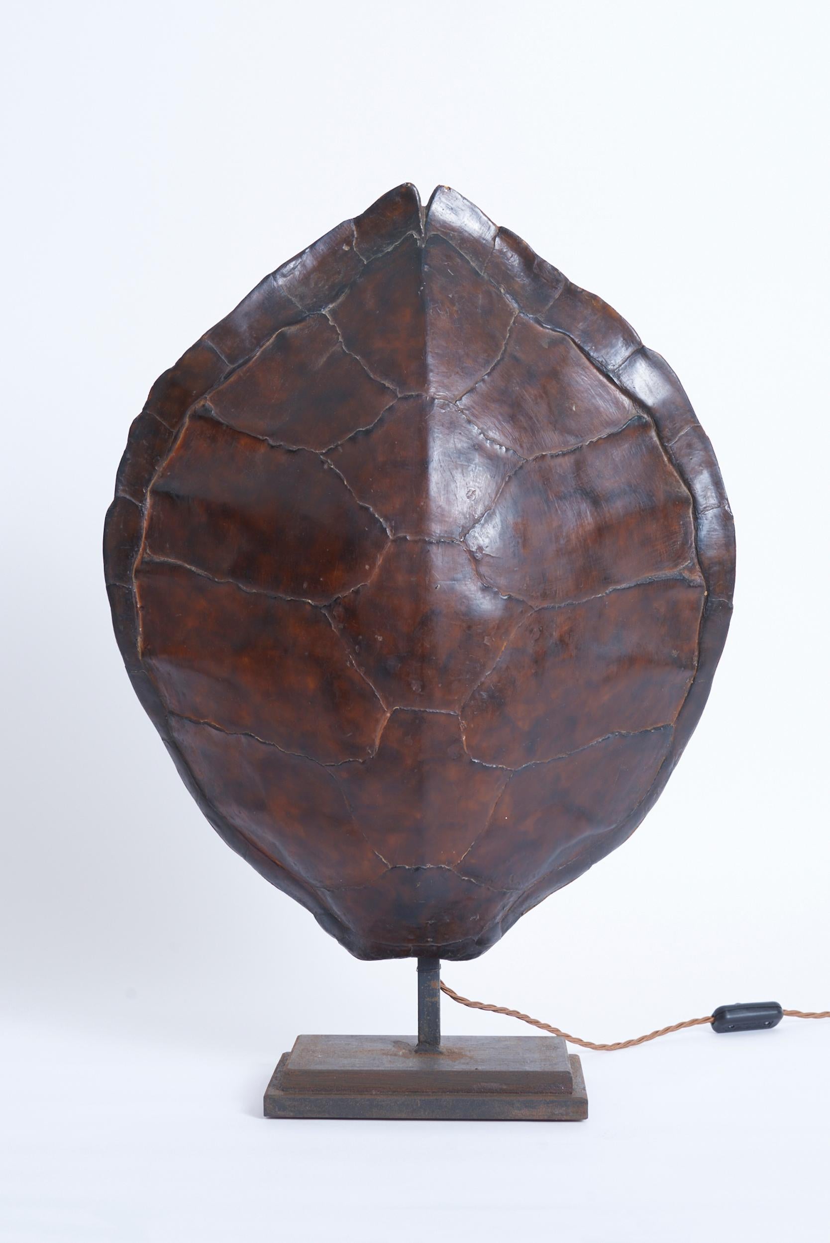 A pair of large faux tortoiseshell resin table lamps
France, 1970s
