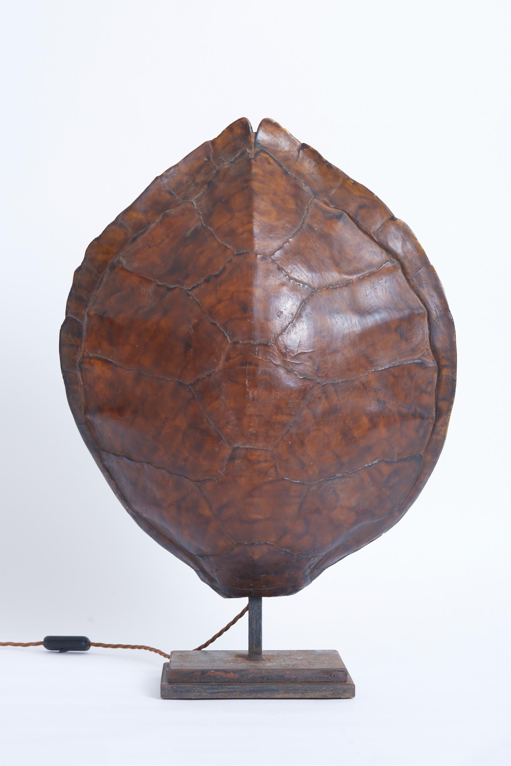 French Pair of Tortoiseshell Table Lamps For Sale