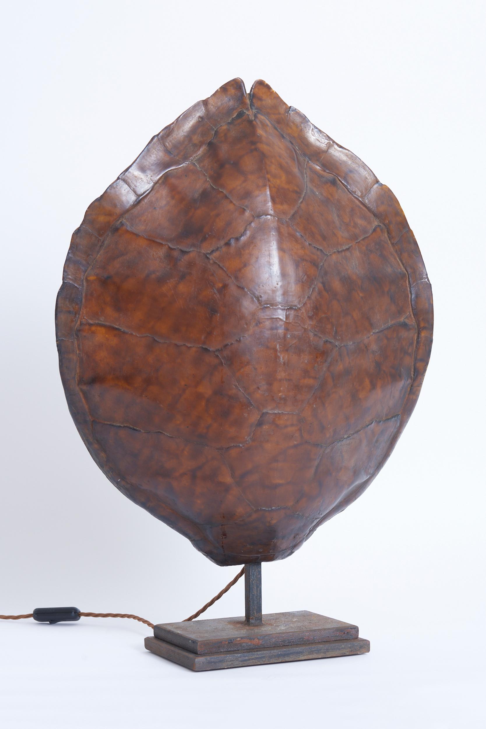 Pair of Tortoiseshell Table Lamps In Good Condition For Sale In London, GB