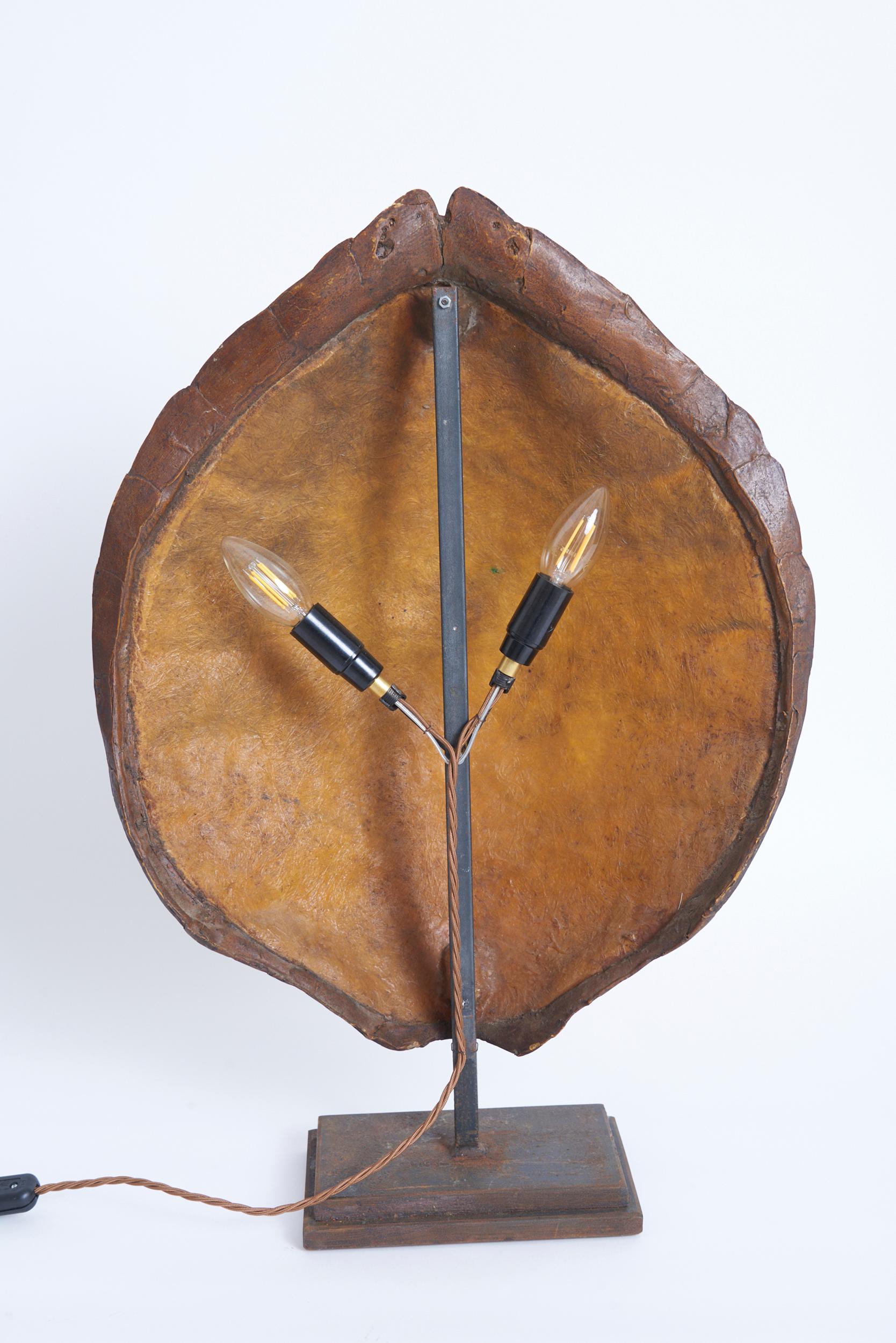 Late 20th Century Pair of Tortoiseshell Table Lamps For Sale