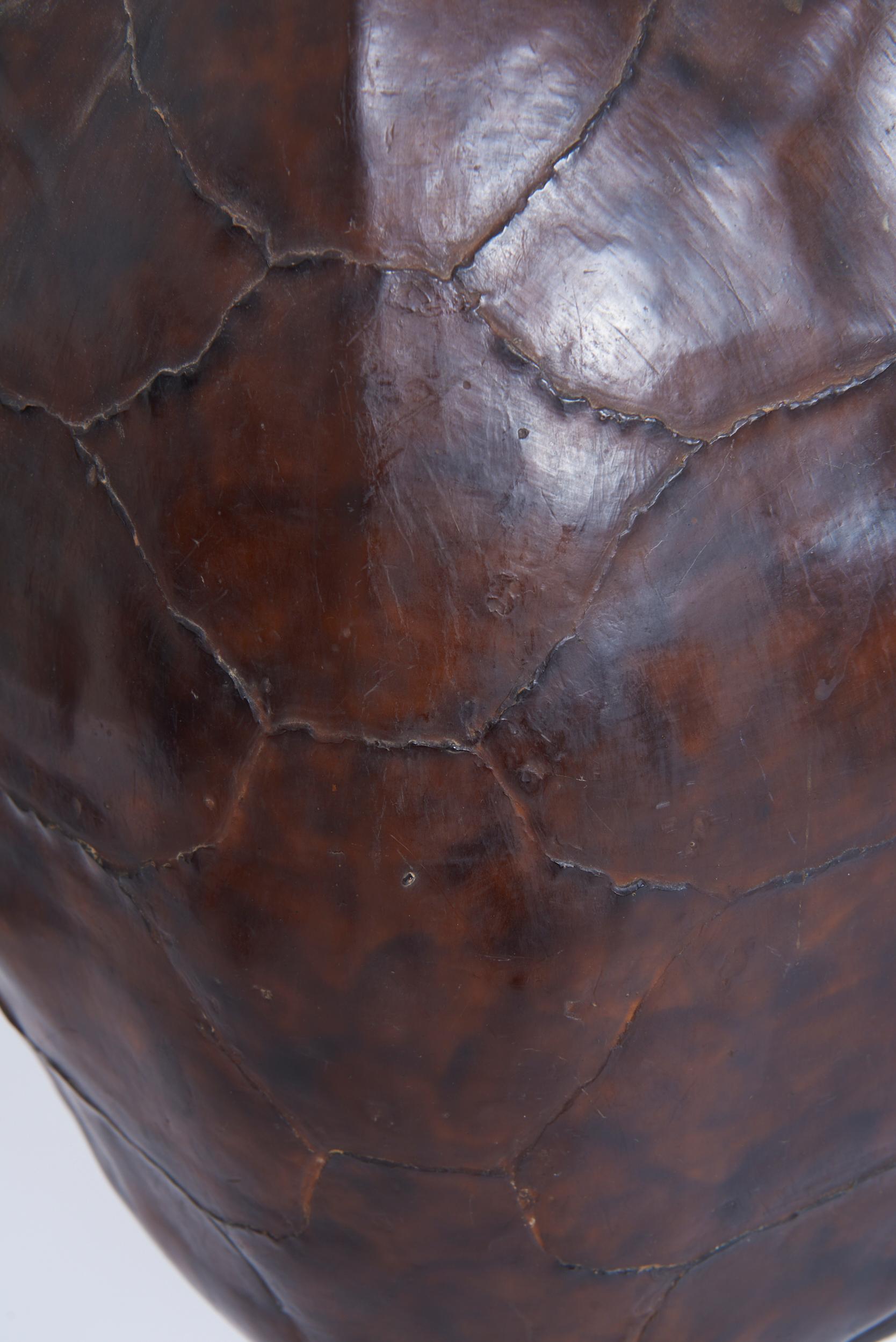 Pair of Tortoiseshell Table Lamps For Sale 3