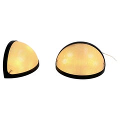 Pair of Totum Lamps by G.N. Gigante, M. Boccato & A. Zambusi for Zerbetto, 1970s