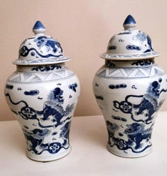 Pair of Traditional Chinese Vases with Lid and Cobalt Blue Decorations