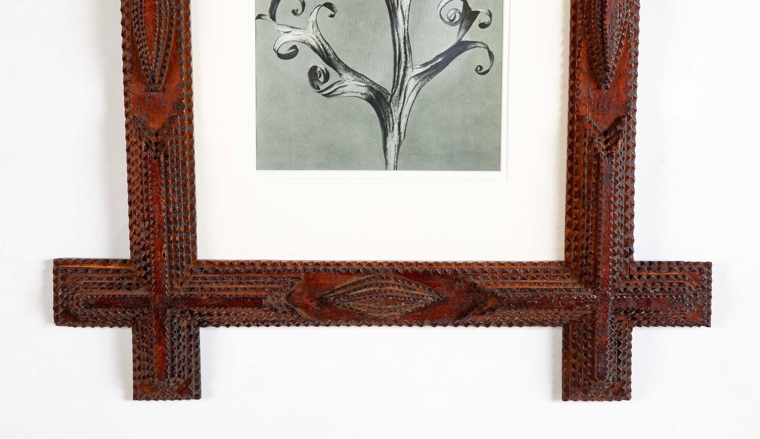 Coppia di cornici di Tramp Art con motivi botanici di Karl Blossfeldt in vendita 2