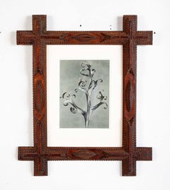 Pair of Tramp Art Frames With Botanical By Karl Blossfeldt