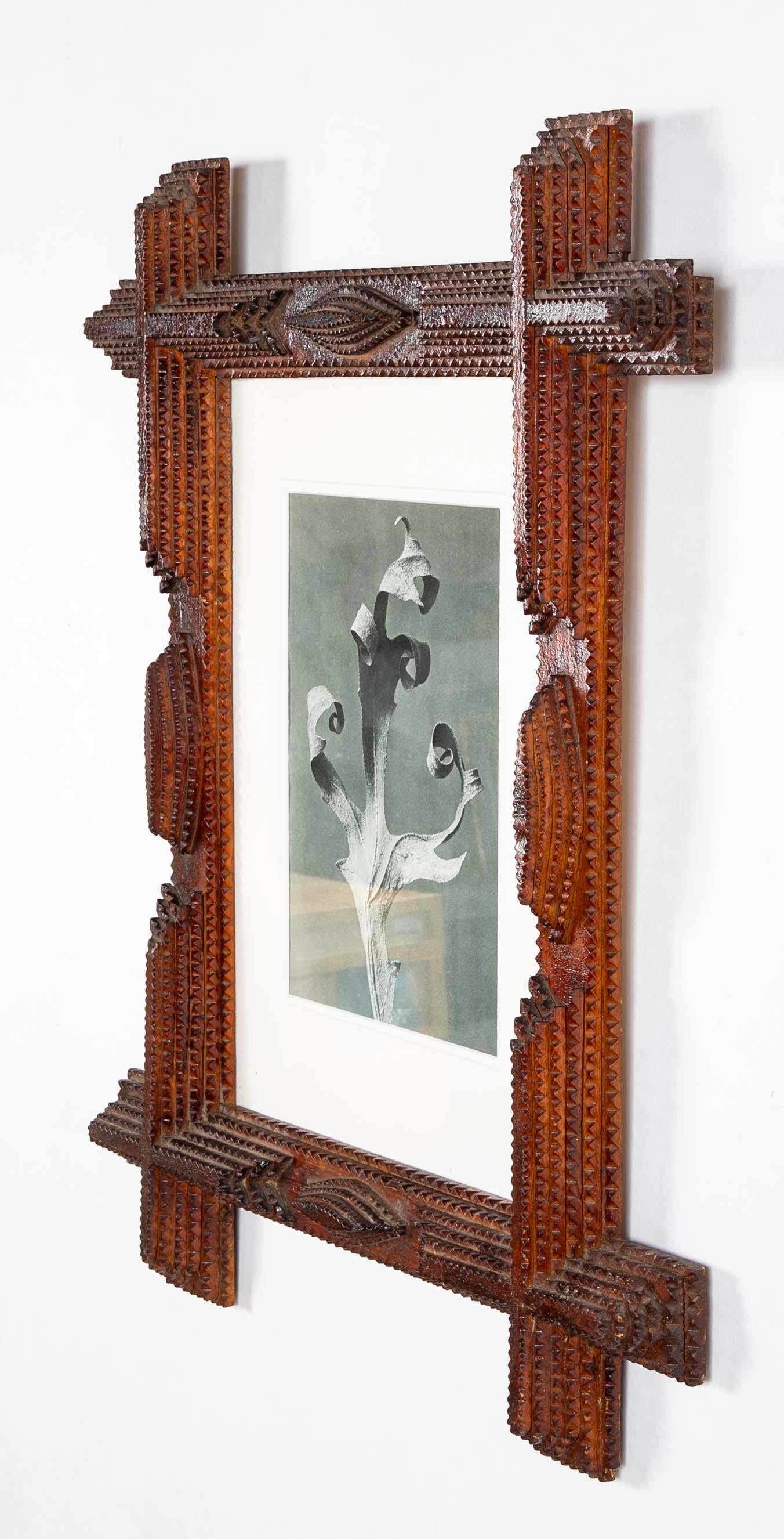 Intagliato a mano Coppia di cornici di Tramp Art con motivi botanici di Karl Blossfeldt in vendita