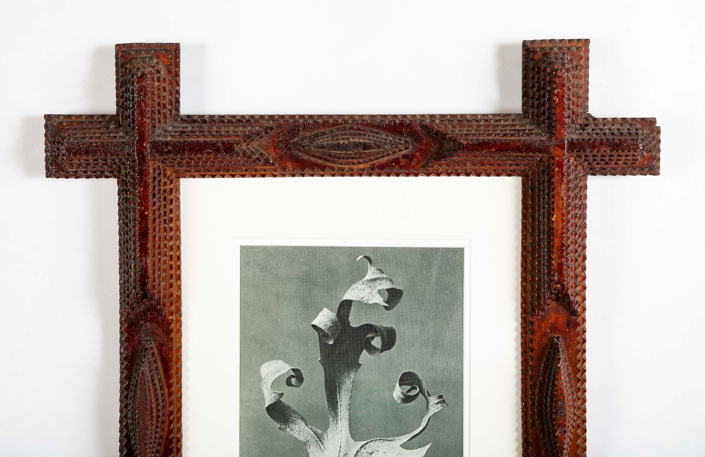 Coppia di cornici di Tramp Art con motivi botanici di Karl Blossfeldt In condizioni buone in vendita a Stamford, CT