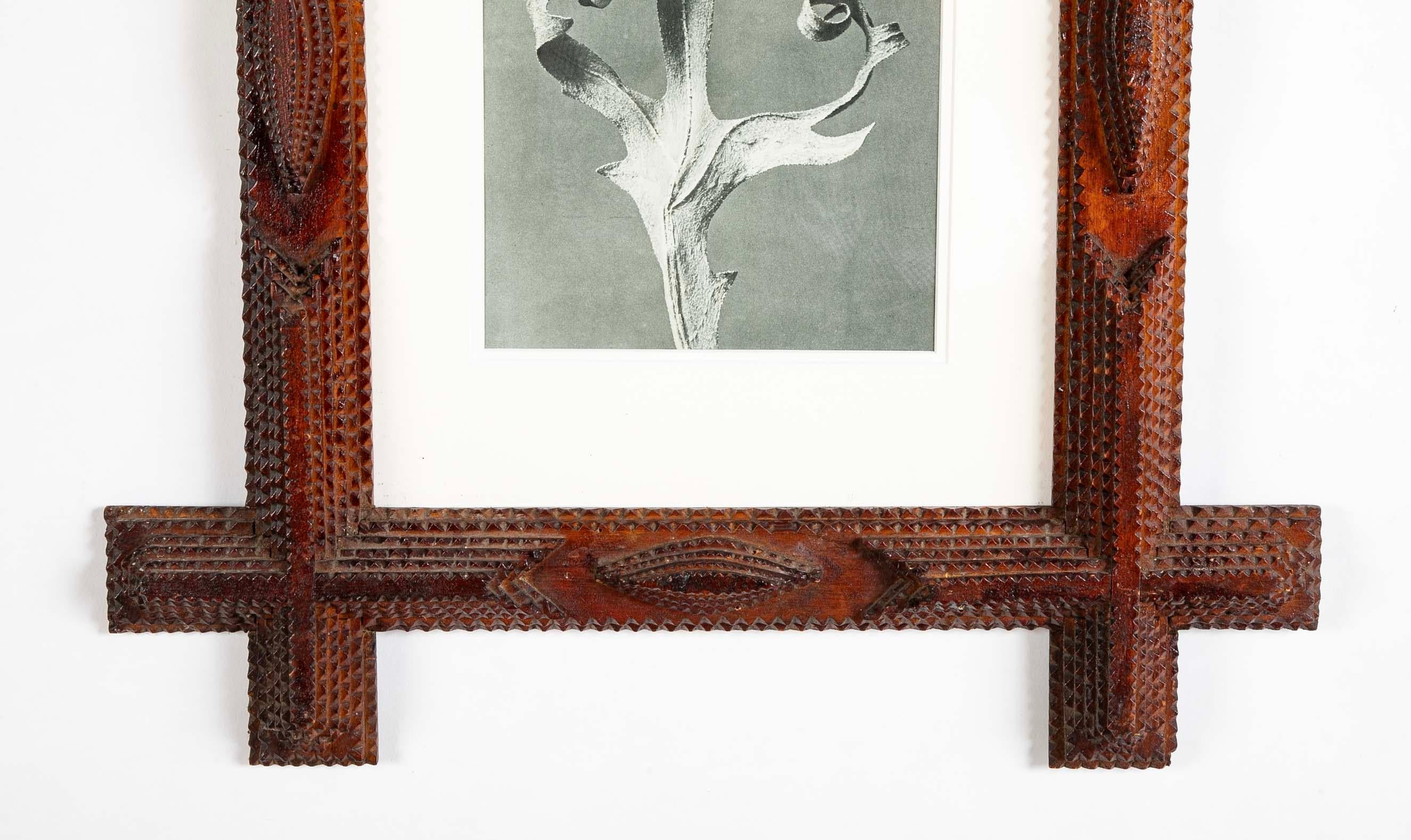 XX secolo Coppia di cornici di Tramp Art con motivi botanici di Karl Blossfeldt in vendita