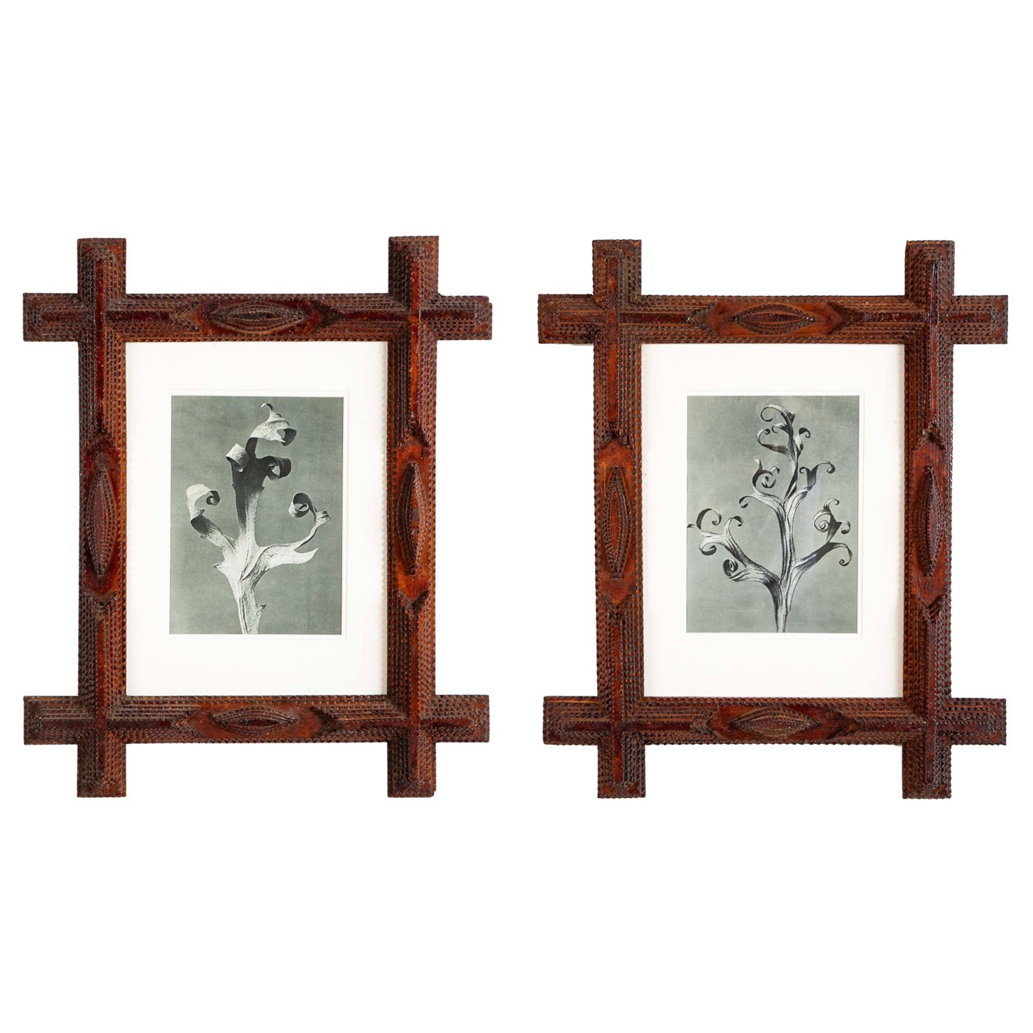 Paar Tramp Art-Rahmen mit Botanik von Karl Blossfeldt im Angebot