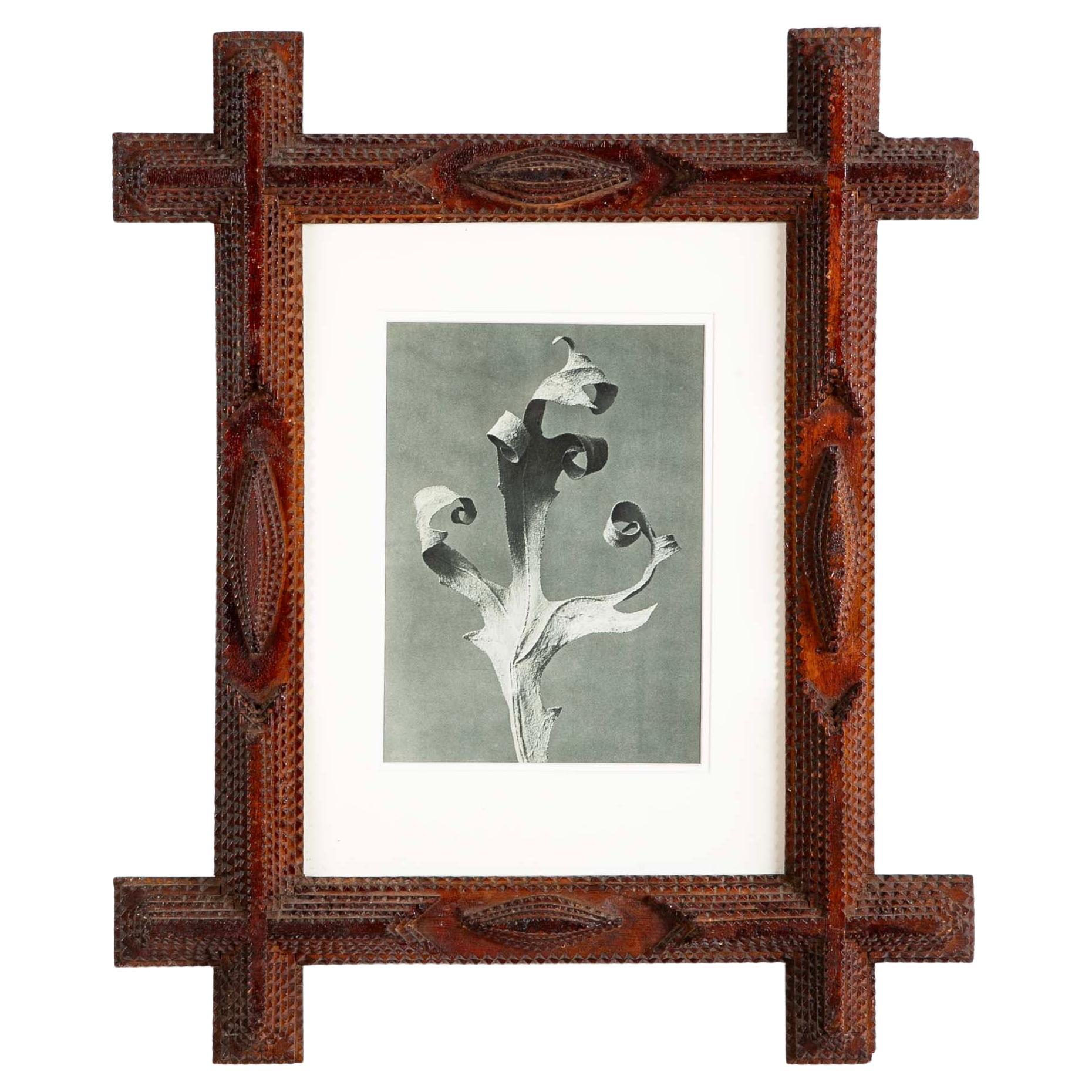 Pair of Tramp Art Frames With Botanical By Karl Blossfeldt