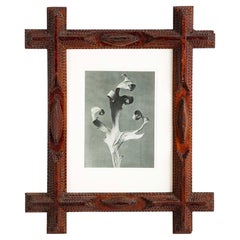 Pair of Tramp Art Frames With Botanical By Karl Blossfeldt