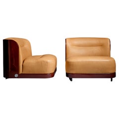 Pair of Trinom Lounge Chairs by Peter Maly for Cor