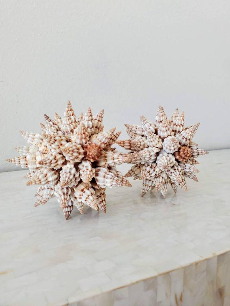 A pair of unique folk art sculptures completely comprised of natural triton shells. Ball form, each spiral trumpet sea shell protruding outward, creating a distinctive multi-pointed star shape. Interesting, elegant and whimsical, with wonderful