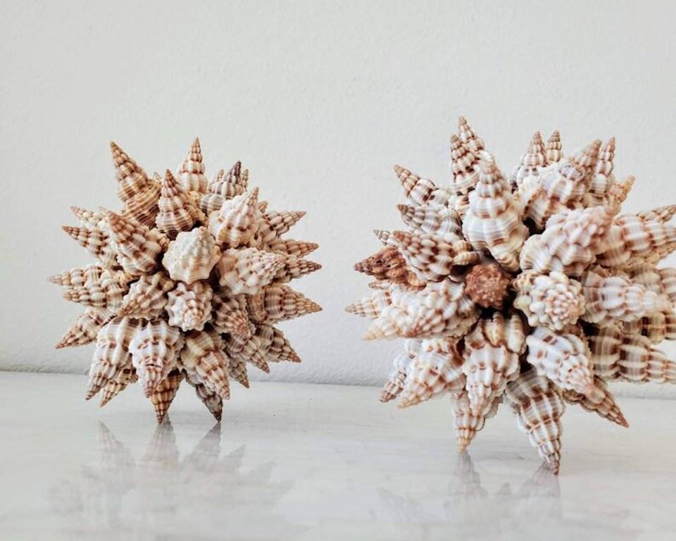 Artisanat Paire de sculptures de coquillages de Triton en vente