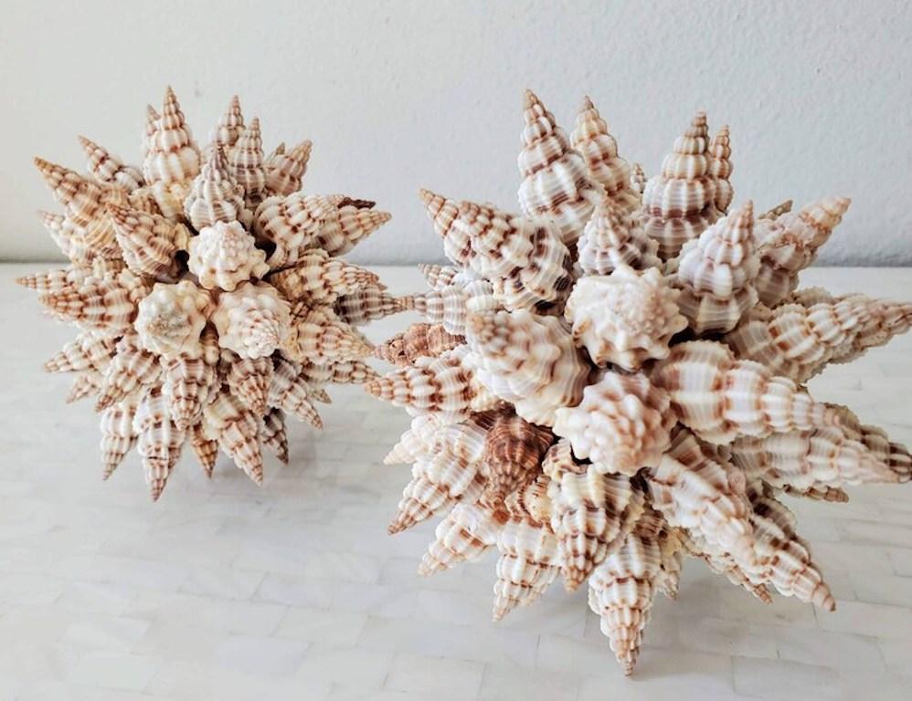 Contemporary Pair of Triton Sea Shell Sculptures