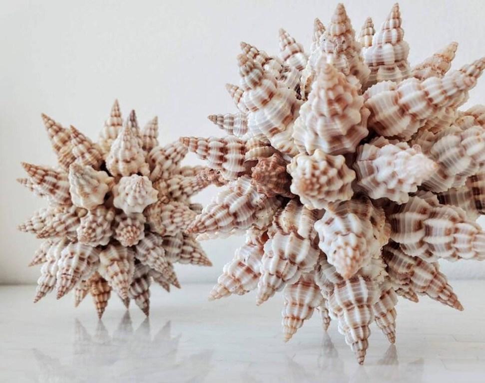 Pair of Triton Sea Shell Sculptures 1