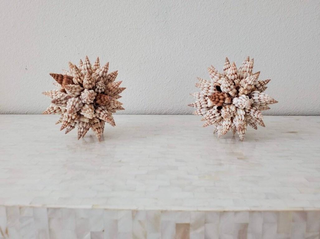 Coquillage Paire de sculptures de coquillages de Triton en vente