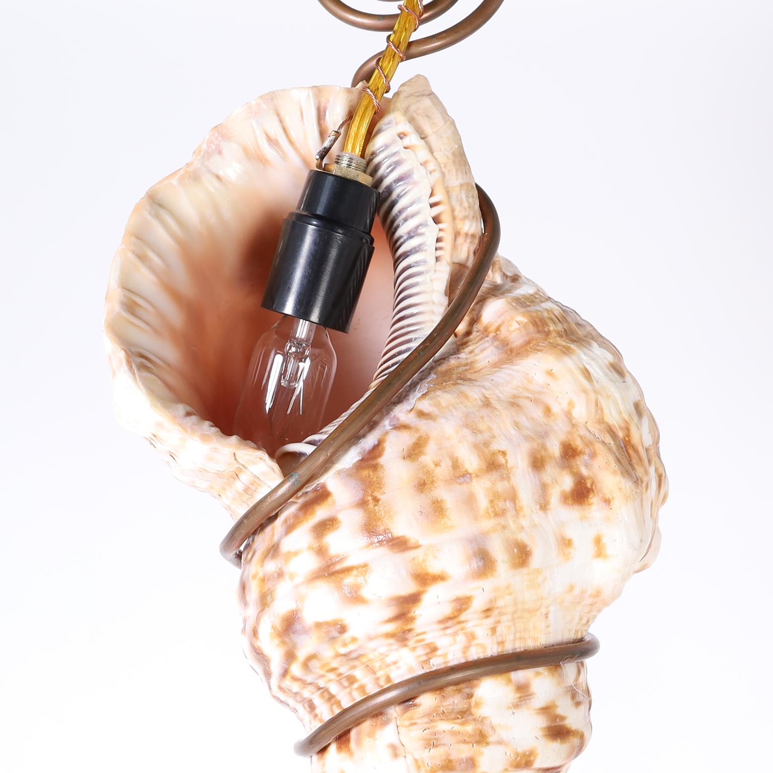 20th Century Pair of Triton Shell Pendants For Sale
