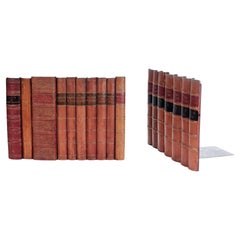 Vintage Pair of Trompe L'oeil Faux Leather Bound Book Panels
