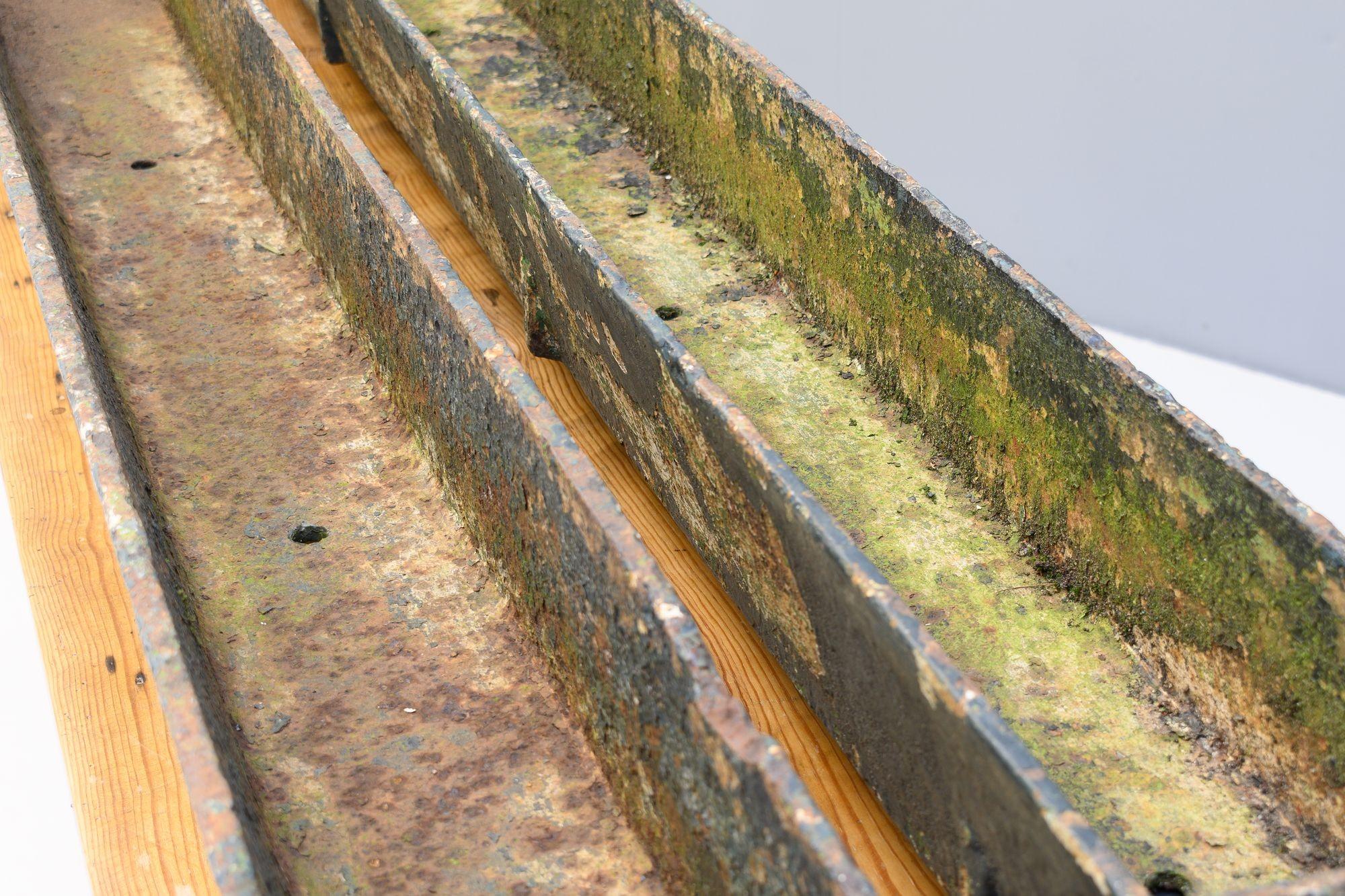 Early 20th Century Pair of Troughs For Sale