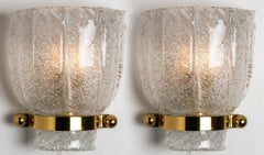 Pair of Tulip Shape Wall Light Fixtures, Hillebrand, 1960