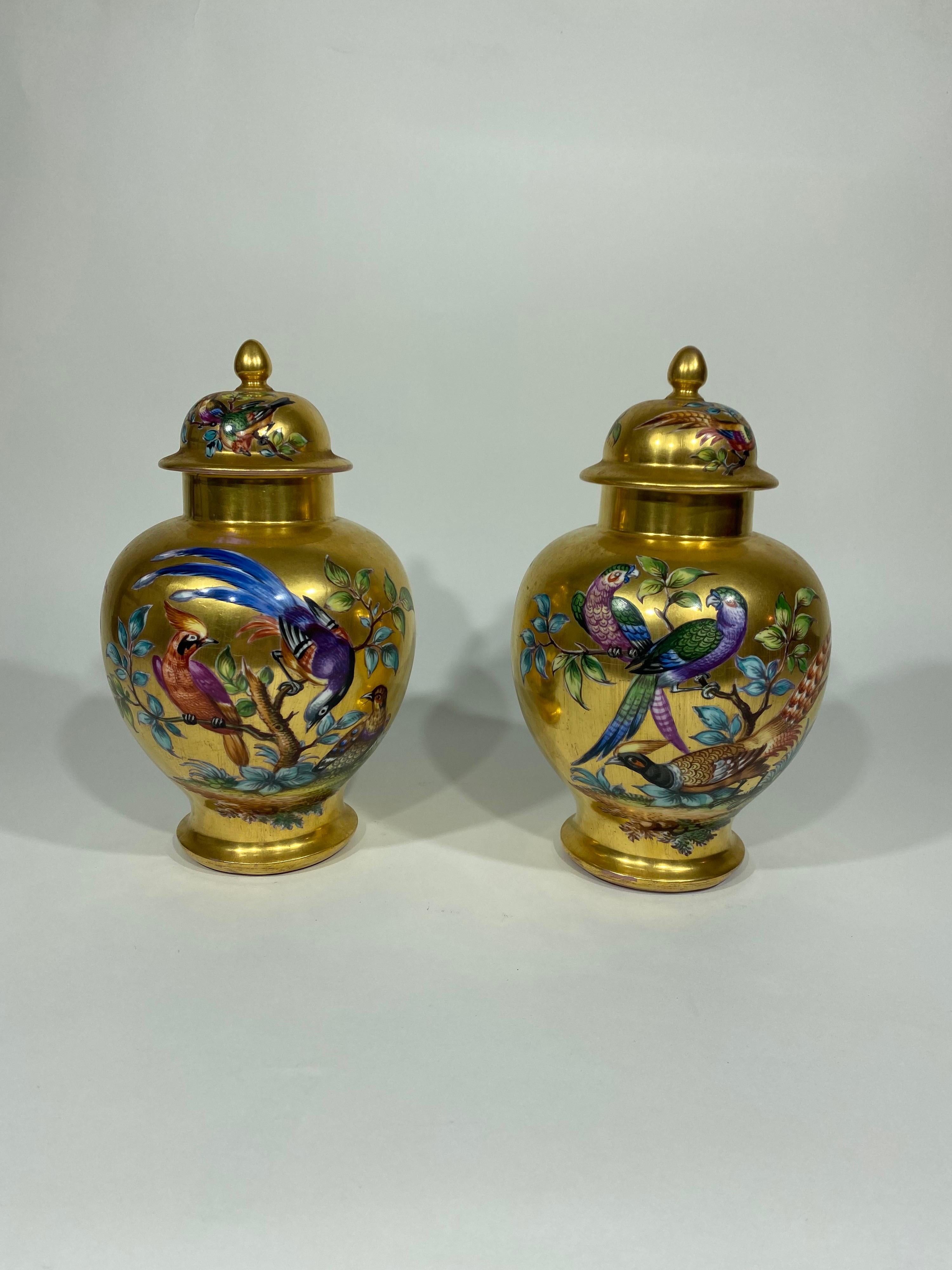 Pair of gilt ground painted ornithological ginger jars with separate lids. Exquisite painting on a gilt ground.